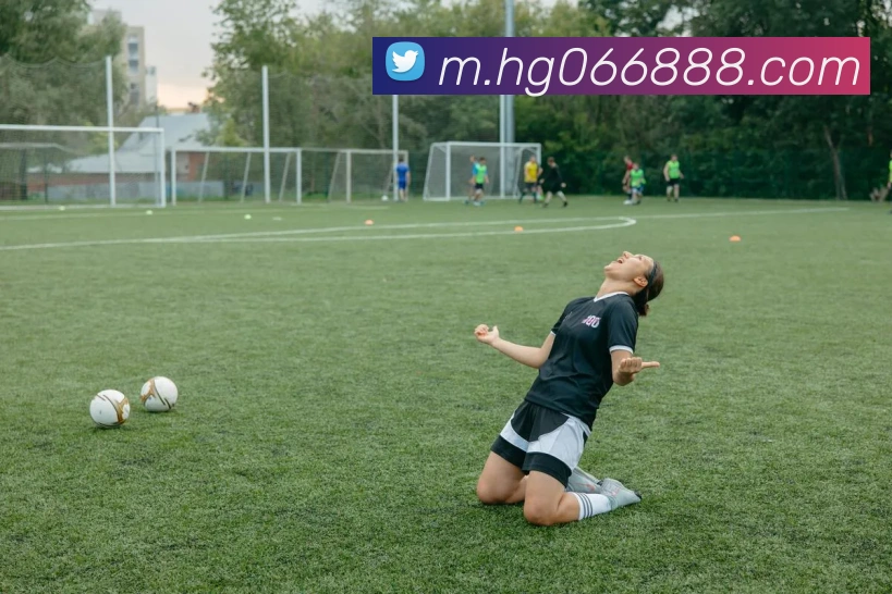 平台展示图